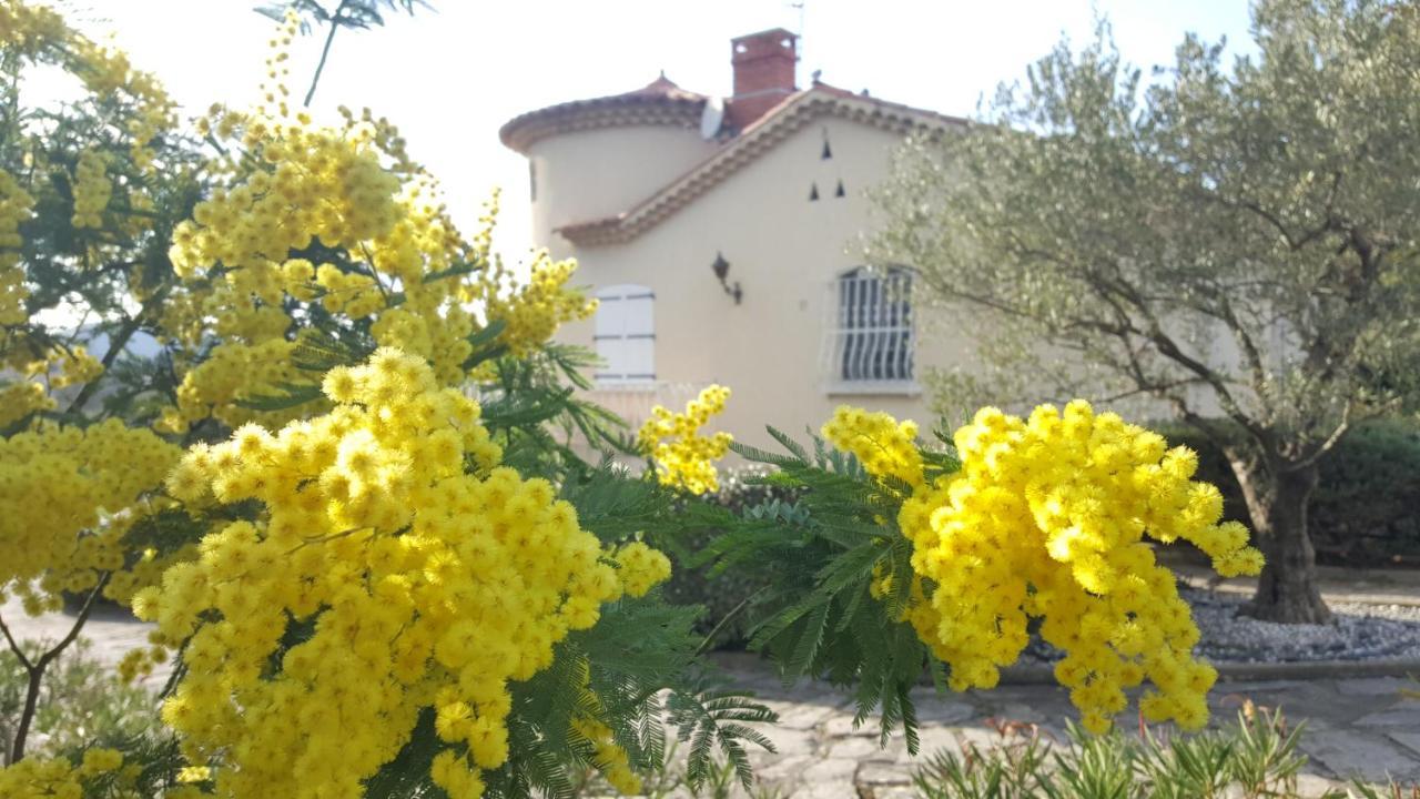Hotel Le Relais Fleuri à Alès Extérieur photo